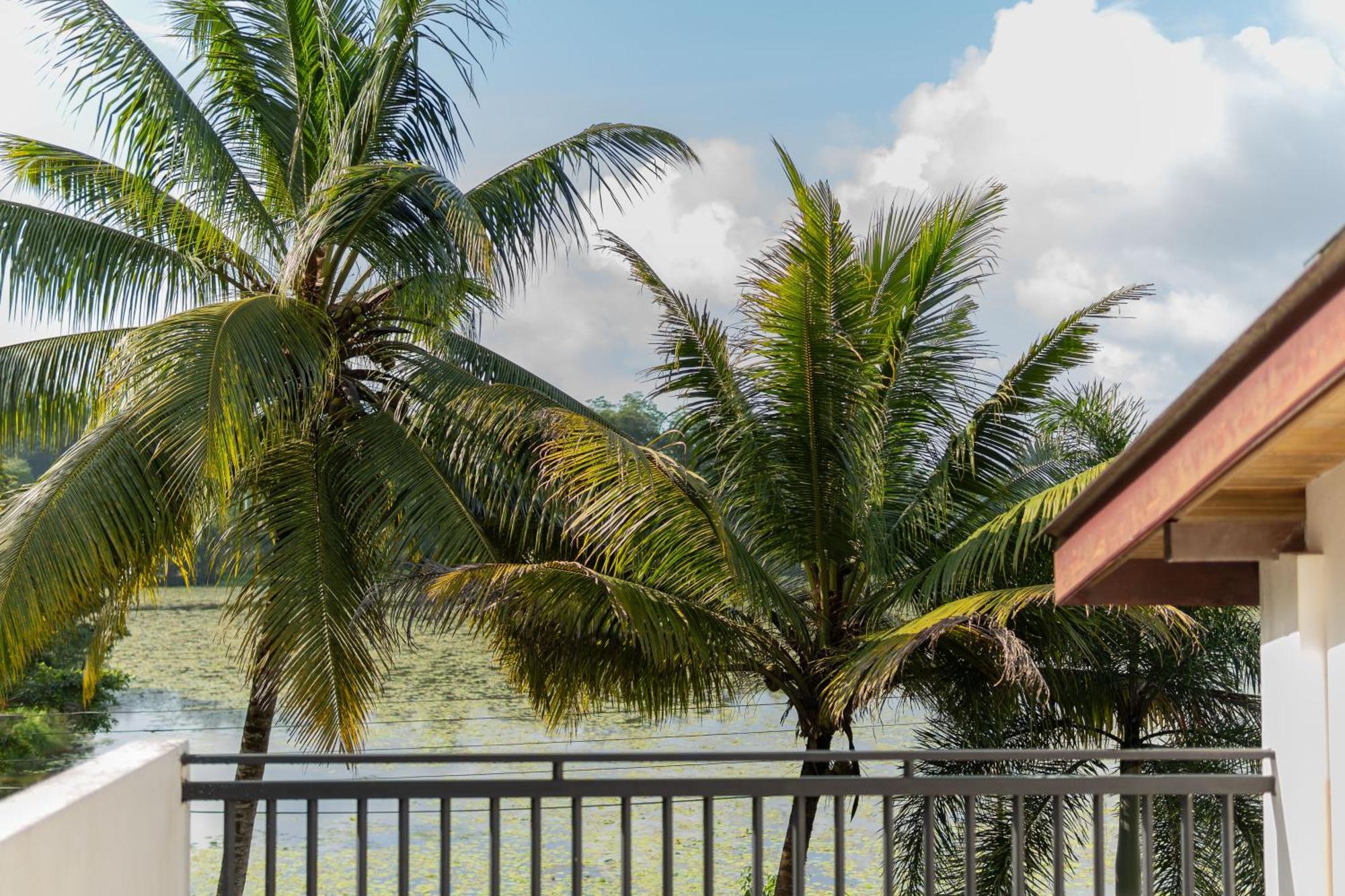 Villa Lake Mountain Weligama Eksteriør billede
